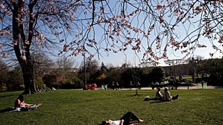 "Hitzewelle" in Frankreich: "Was haben wir jetzt? Mitte Juli?"