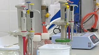 A Szentágothai János Kutatóközpont laborja