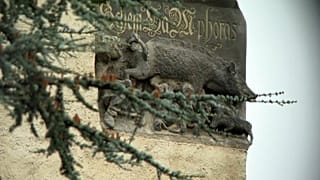 "Judensau"-Skulptur in Wittenberg darf bleiben - vorerst