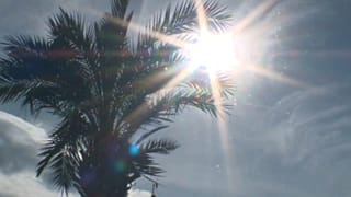 Europa registra el mes de enero más cálido de su historia