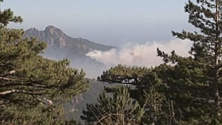 تلاش آتش نشانان فرانسوی برای مهار حریق جنگلی در جزیره کرس