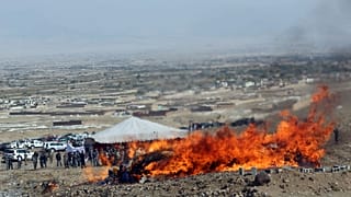 ۶ مقام امنیتی افغانستان به دلیل رهبری شبکه توزیع مواد مخدر بازداشت شدند