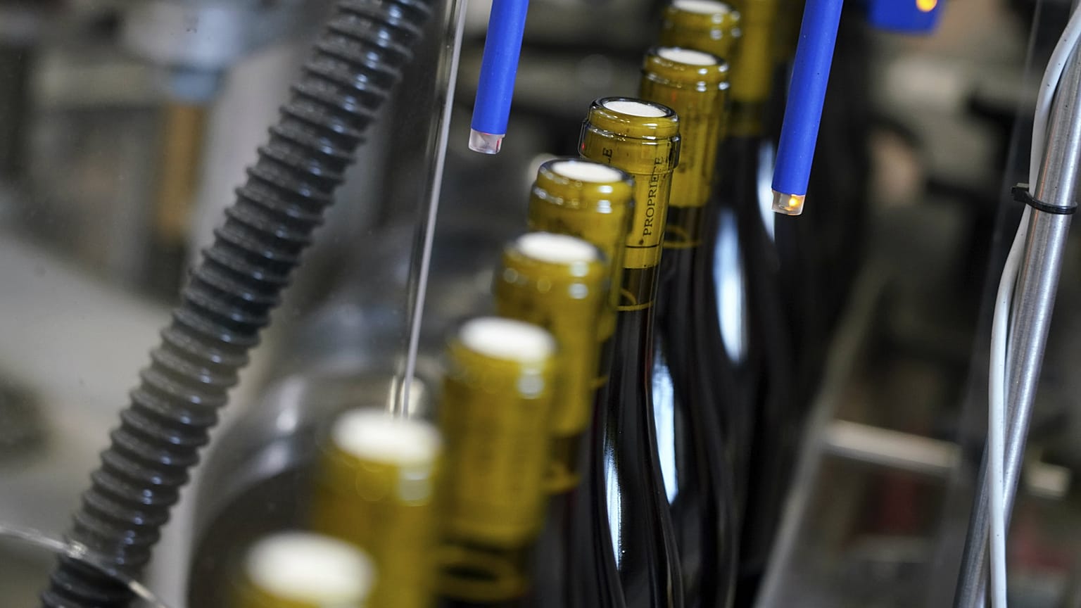 Bottles of wine are pictured in the Vinescence cellar in Saint Jean d'Ardieres, in the Beaujolais region, eastern France, in November 2019.