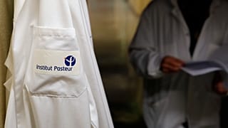 French scientists at the Pasteur Institute developed and shared a quick test for the new virus that is spreading worldwide. (AP Photo/Francois Mori