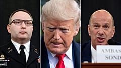 Александр Виндман, Дональд Трамп и Гордон Сондлэнд