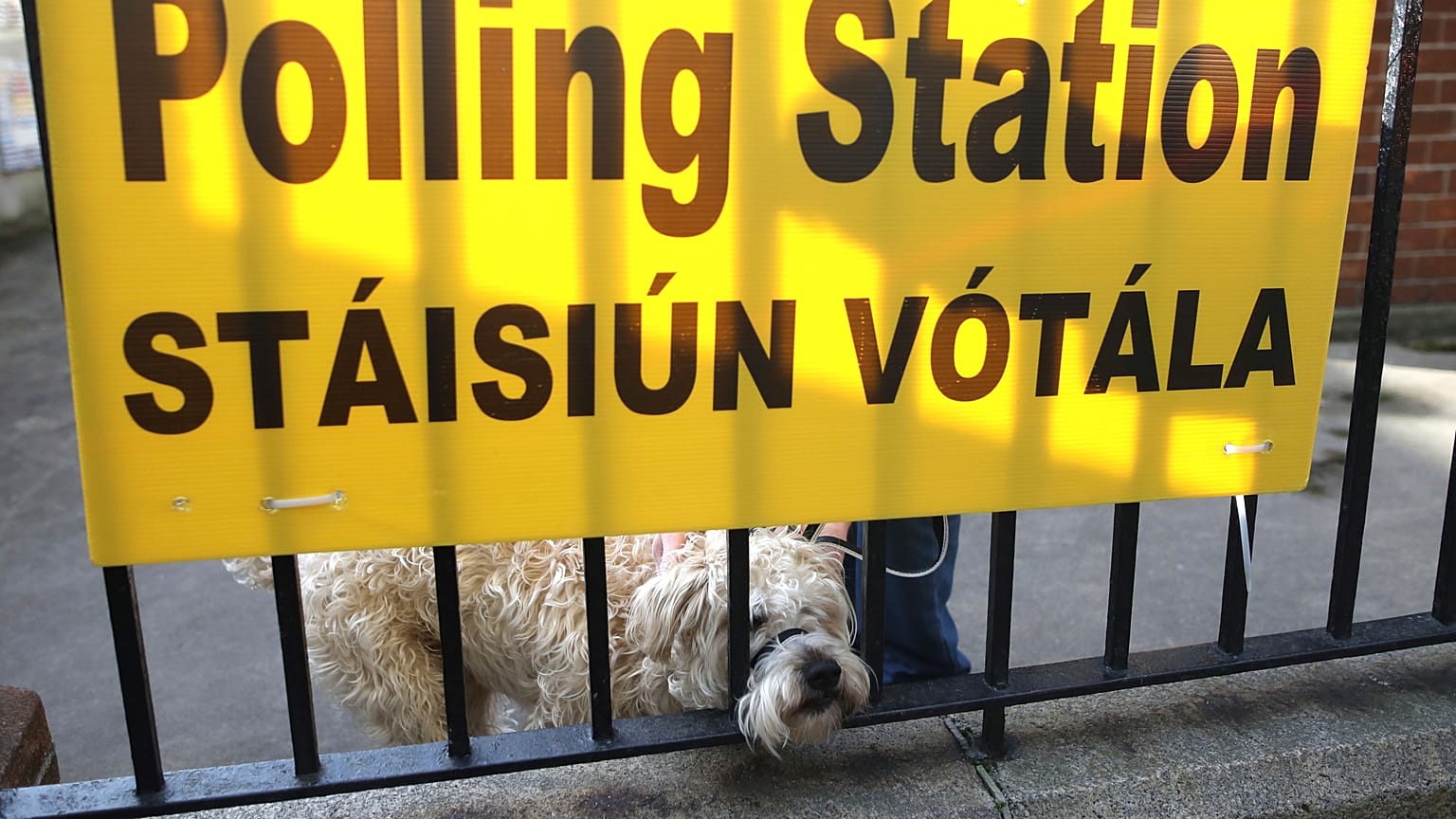 Wahlen in Irland - Sinn Fein könnte stärkste Partei werden