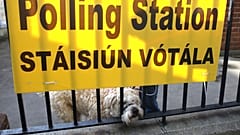 Wahlen in Irland - Sinn Fein könnte stärkste Partei werden