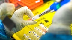 An employee works in the pop-up Huoyan Laboratory speciallized in the nucleic acid test on 2019-nCoV 