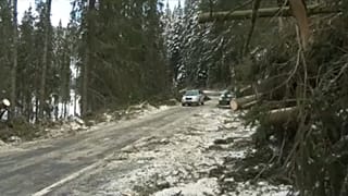 Erdőket pusztított el a vihar Romániában