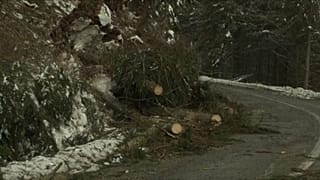 Romania: il maltempo devasta la foresta di Prahova