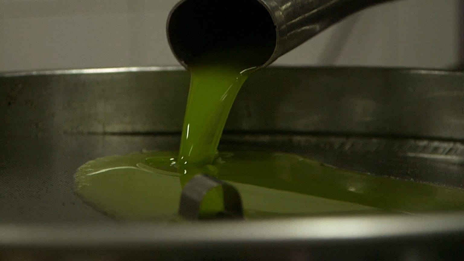 Cipro: "l'olio per la pace" contro le barriere e la burocrazia