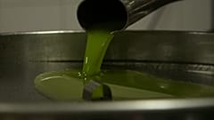 Cipro: "l'olio per la pace" contro le barriere e la burocrazia