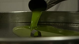 Cipro: "l'olio per la pace" contro le barriere e la burocrazia