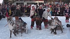 Carrera de renos de Jokkmokk, el evento más apasionante de Laponia