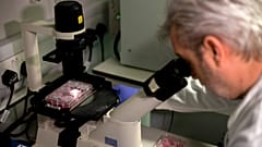 Un des membres d'une équipe de scientifiques britanniques travaillant sur un vaccin pour le coronavirus 2019-nCoV, à Londres le 10 février 2020. 