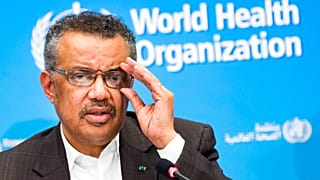 La OMS señala que todavía puede ser prevenida una pandemia mundial