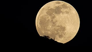 NASA, Ay'a ve Mars'a gidecek yeni astronotlarını arıyor