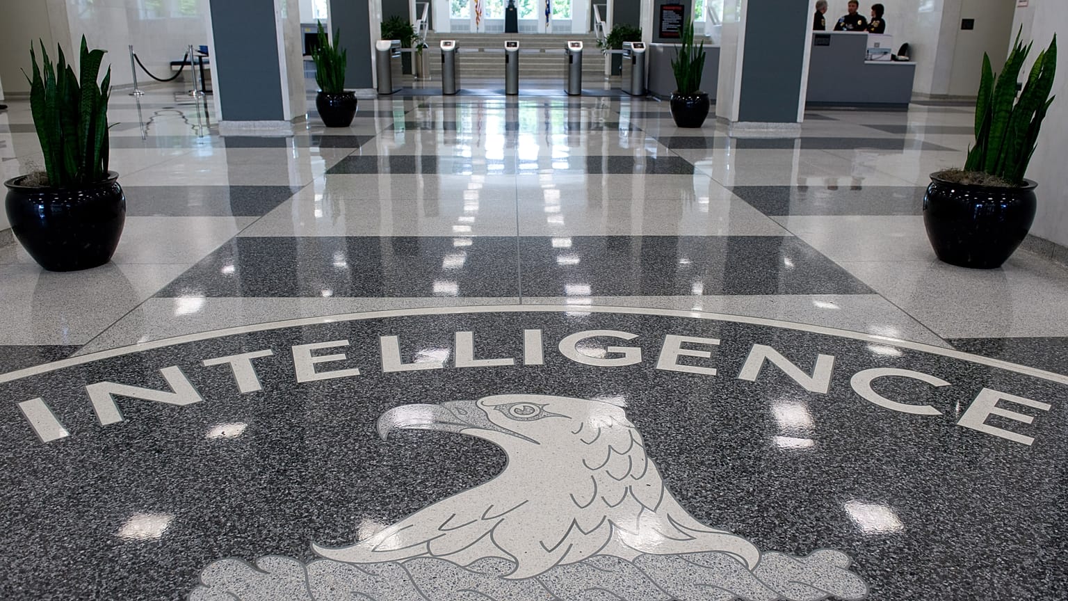 "Cryptoleaks": Wie BND und CIA Freund und Feind ausspionierten 