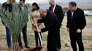 رئيس الوزراء الإسرائيلي بنيامين نتنياهو يزرع شجرة في مستوطنة قرب أريحا في الضفة الغربية، 10 فبراير 2020