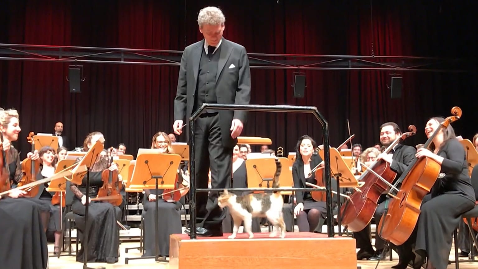 Cemal Reşit Rey Konser Salonu, İstanbul