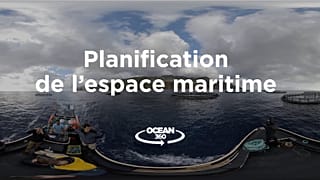 Ocean