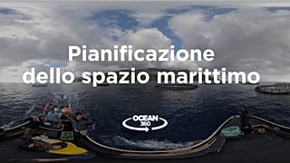 Ocean