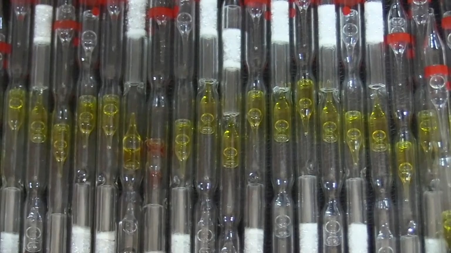 dana'da 314 tüp kobra yılanı zehri ele geçirildi