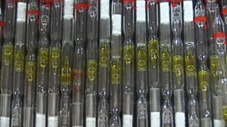 dana'da 314 tüp kobra yılanı zehri ele geçirildi