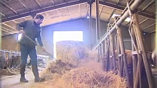 EU-Haushalt: Kleinbauern befürchten Kürzungen