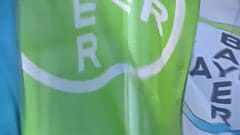 Bayer e Basf condenadas nos Estados Unidos