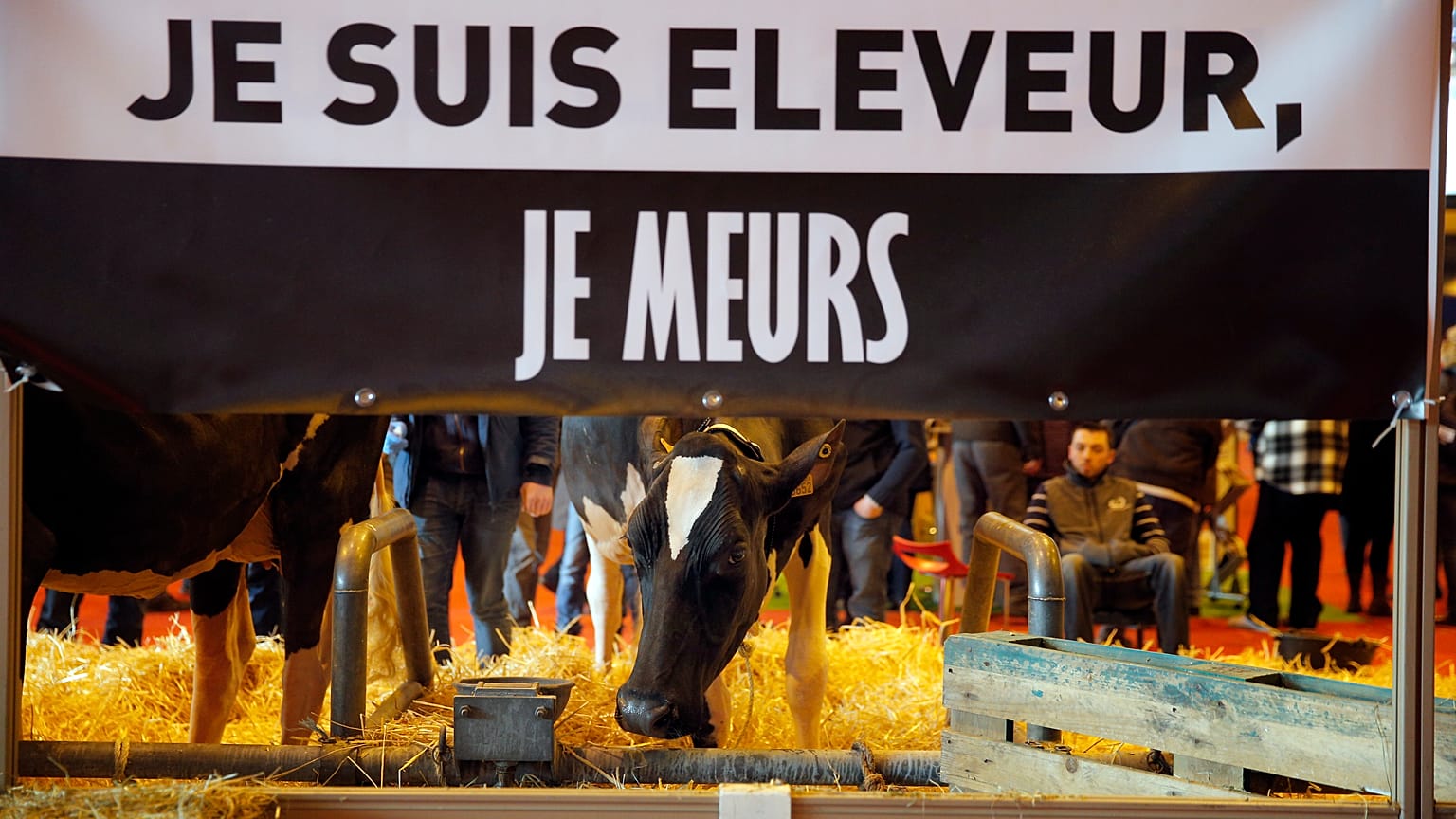 The Brief from Brussels: Bauern bangen um EU-Beihilfen