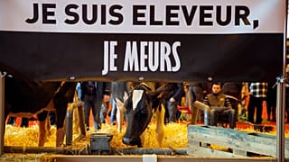 The Brief from Brussels: Bauern bangen um EU-Beihilfen
