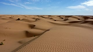 I pescatori del Sahara 