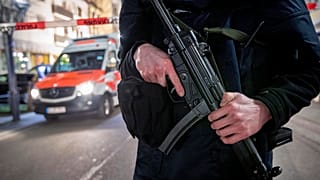 Alman polisi
