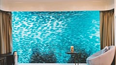Credit: Dubai Tourism