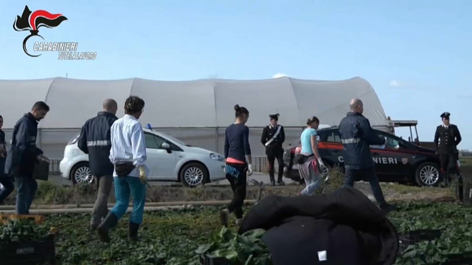Contro i caporali in agricoltura il piano triennale del ministero