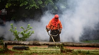 Un trabajador municipal corta la hierba durante una operación de fumigación contra el mosquito que puede propagar el dengue- en San Lorenzo, Paraguay,