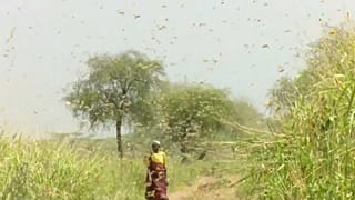 No Comment, du reportage sans aucun commentaire : notre sélection de la semaine  