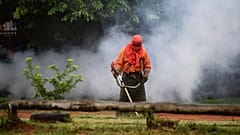 La lotta silenziosa del Sud America contro la dengue: impennata di casi nel 2019