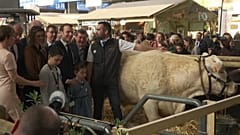 Macron trifft (wütende) Landwirte und Kühe