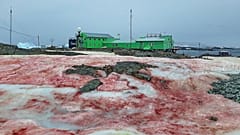 La base Akademik Vernadsky rodeada de nieve roja 