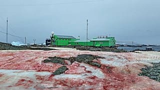 Antarktika'daki Ukrayna Araştırma İstasyonu 