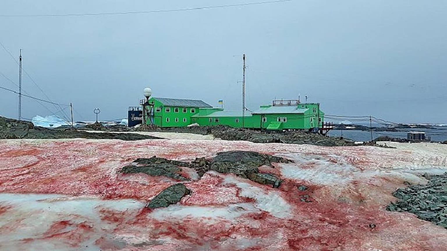 Ukrainische Forschungsstation in der Antarktis