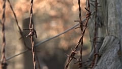 Der ungarische Gulag: das Lager von Recsk