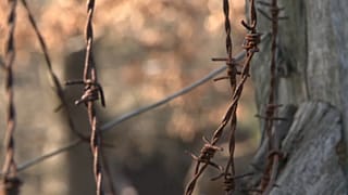 Der ungarische Gulag: das Lager von Recsk