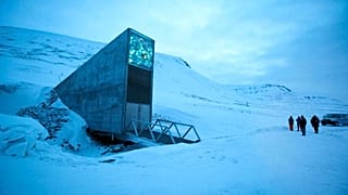 Olası kıyamet senaryosuna karşı Norveç'teki 'Nuh'un Gemisi'ne 60 bin bitki tohumu taşındı