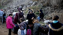 Yunanistan'ın Midilli Adası'na giden sığınmacılar 