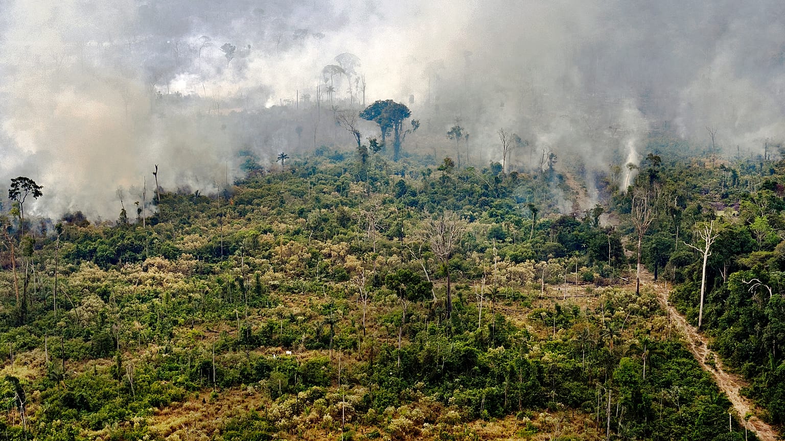 View of a burnt area in the Amazon rainforest, near Porto Velho, Rondonia state, Brazil