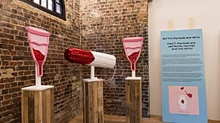 Art inspired by vulvas and vaginas.
