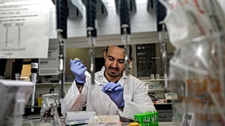 An Israeli scientist works at a laboratory at the MIGAL Research Institute in Kiryat Shmona in the upper Galilee in northern Israel on March 1, 2020 